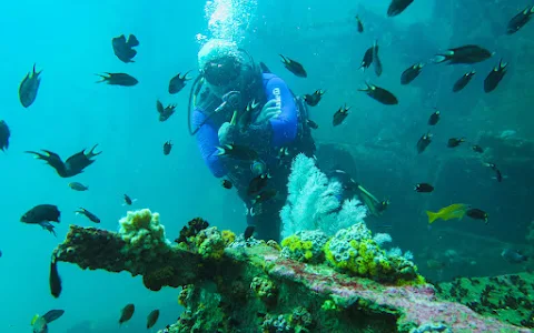 Island Scuba - Scuba Diving In Sri Lanka image