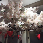 Photo n°10 de l'avis de Massimo.b fait le 06/02/2023 à 14:58 sur le  GianPà Pizzeria Napoletana à Cassino