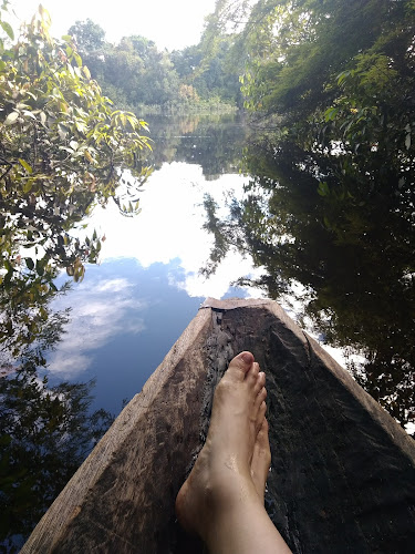 Vivero Forestal Mi Quebrada - Iquitos