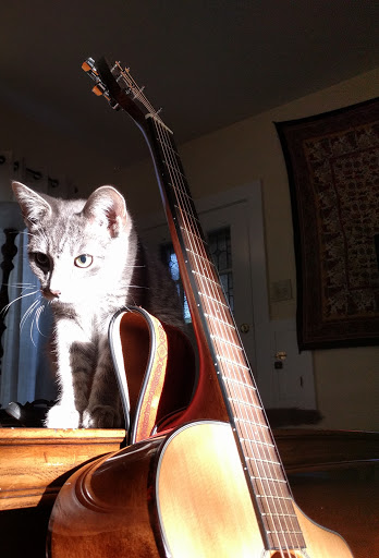 Pet Supply Store «PetSmart», reviews and photos, 1850 30th St, Boulder, CO 80301, USA