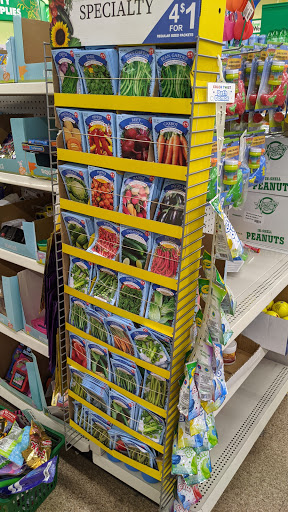 Dollar Store «Dollar Tree», reviews and photos, 79700 CA-111 c105, La Quinta, CA 92253, USA