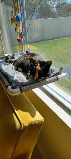 Pet Supply Store «PetSmart», reviews and photos, 24005 U.S. 27, Lake Wales, FL 33859, USA