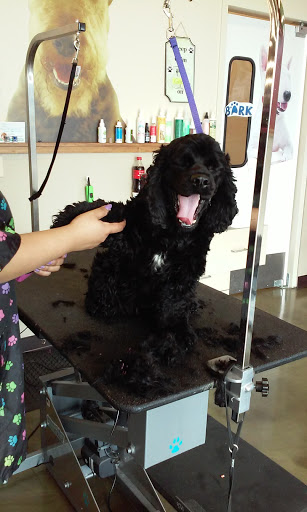 Pet Supply Store «Pet Supplies Plus», reviews and photos, 1155 Washington Pike, Bridgeville, PA 15017, USA