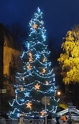 Photo n°15 de Cathédrale de Saint Dié à Saint-Dié-des-Vosges ()