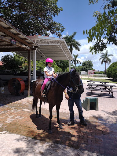 Pony riding places in Miami