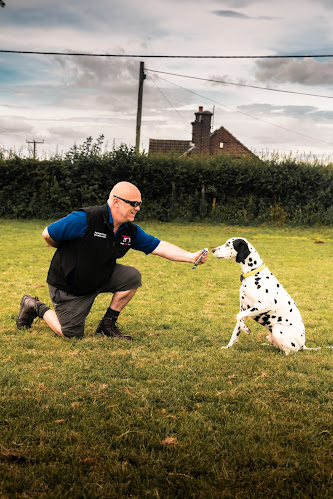 Burton-Meadow, Dog Freedom Field, Training and Enrichment Facility. - Dog trainer