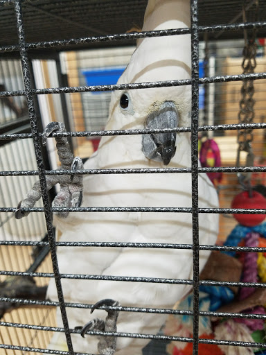 Pet Store «A to Z Pets», reviews and photos, 16010 SE Division St, Portland, OR 97236, USA