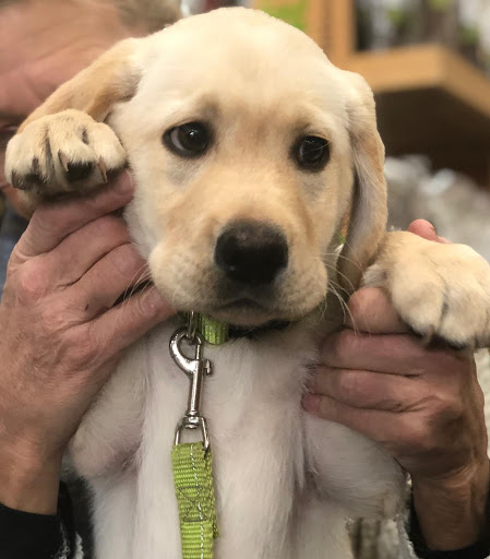 Pet Supply Store «Pet Barn Inc», reviews and photos, 167 Jennifer Rd # G, Annapolis, MD 21401, USA