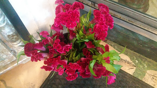 Florist «Post Road English Garden», reviews and photos, 1105 N Post Rd, Indianapolis, IN 46219, USA