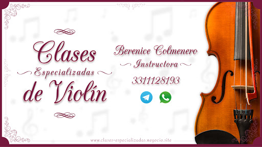 Clases Profesionales de Violín