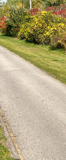 Public Golf Course «Glacier Club», reviews and photos, 8000 Glacier Club Dr, Washington, MI 48094, USA