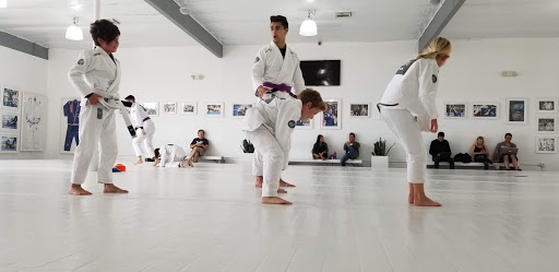 Art of Jiu Jitsu Academy image