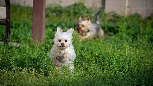 6615 W Happy Valley Rd B106, Glendale, AZ 85310, USA