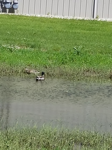 Tourist Attraction «Glacial Lakes Distillery, LLC», reviews and photos, 1207 6th Ave NW #170, Watertown, SD 57201, USA