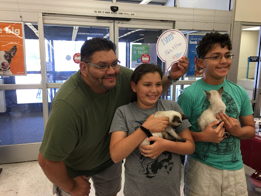 Petco Dog Training image