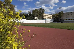 Municipal Stadium Zografou image