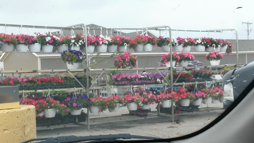 Home Goods Store «Shopko Hometown Perham», reviews and photos, 300 Jake St, Perham, MN 56573, USA