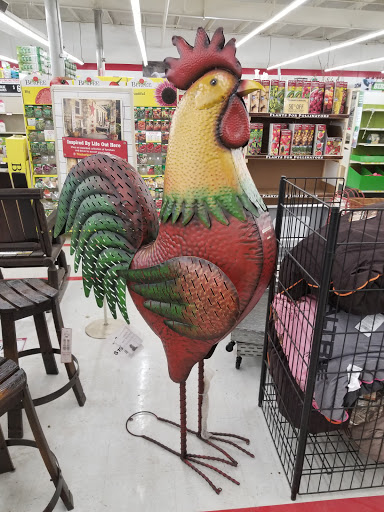 Tractor Supply Co. in Wellsville, New York