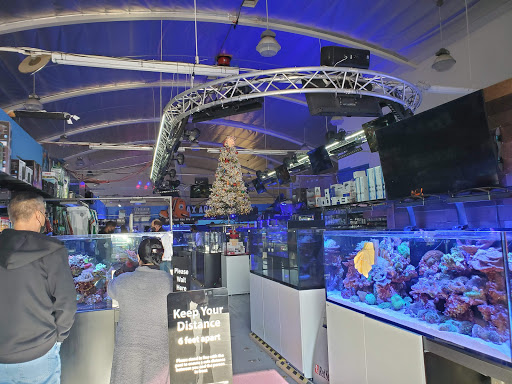 Tropical Fish Store «Lax Aquarium», reviews and photos, 5310 W Century Blvd, Los Angeles, CA 90045, USA