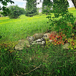 Photo n°3 de l'avis de Flores.u fait le 10/11/2017 à 07:38 sur le  Baita Pontara à Tonezza del Cimone