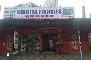 Kibriya fisheries image