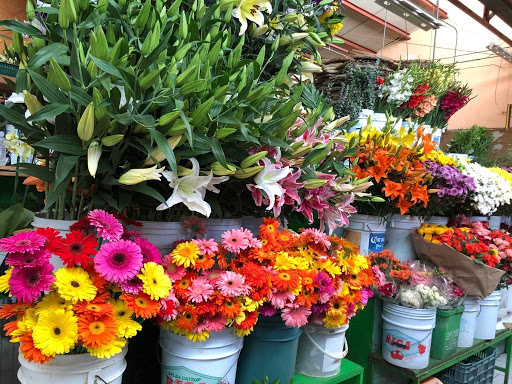 Florería Lupita – San Miguel de Allende