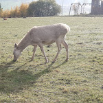 Photo n°4 de l'avis de Stephanie.e fait le 19/10/2022 à 13:06 sur le  Berghotel Maibrunn à Sankt Englmar