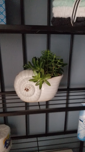 Craft Store «Michaels», reviews and photos, 471 State Rd, North Dartmouth, MA 02747, USA