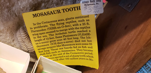 Art Gallery «Bradys Village Art Gallery», reviews and photos, 3312 Main St, Morgantown, PA 19543, USA