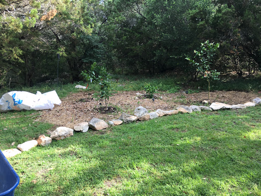 Step By Step How To Remove Grass To Mulch Around Trees 1