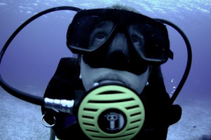 PADI DIVE SHOP AND RESORT #29324 - MY DEEP LIFE .Cancun dive shop NUMBER ONE CANCUN DIVING image