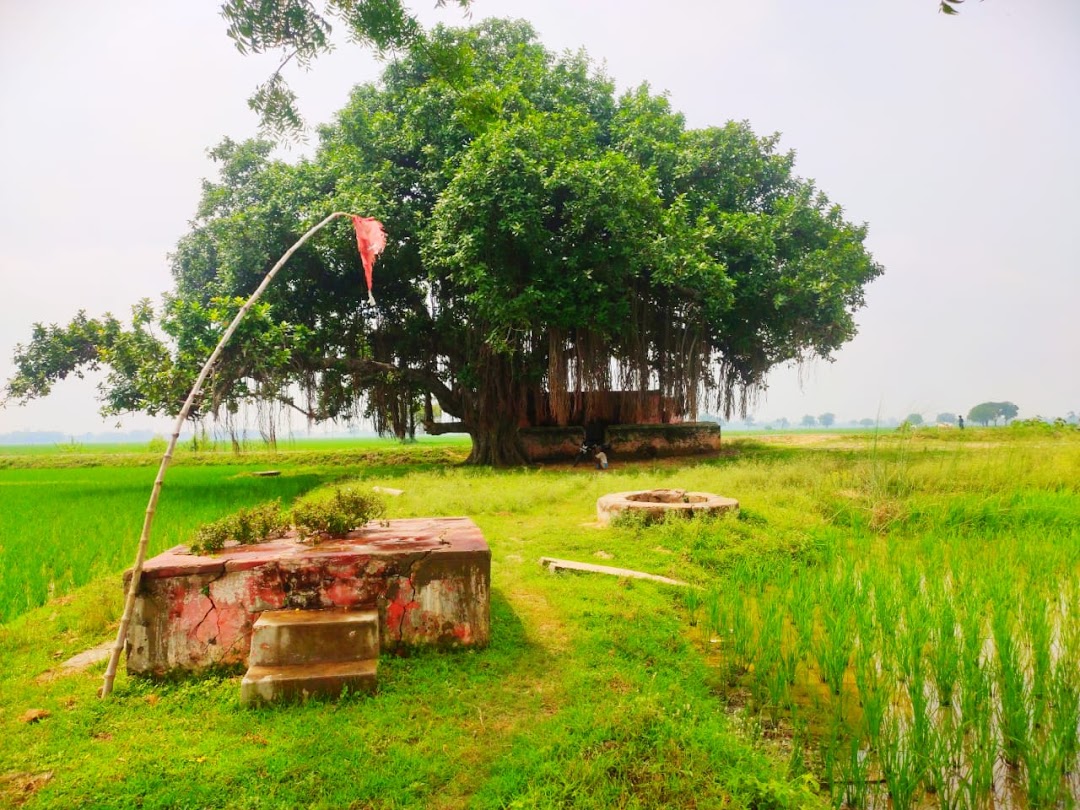 ठेकही मंदिर