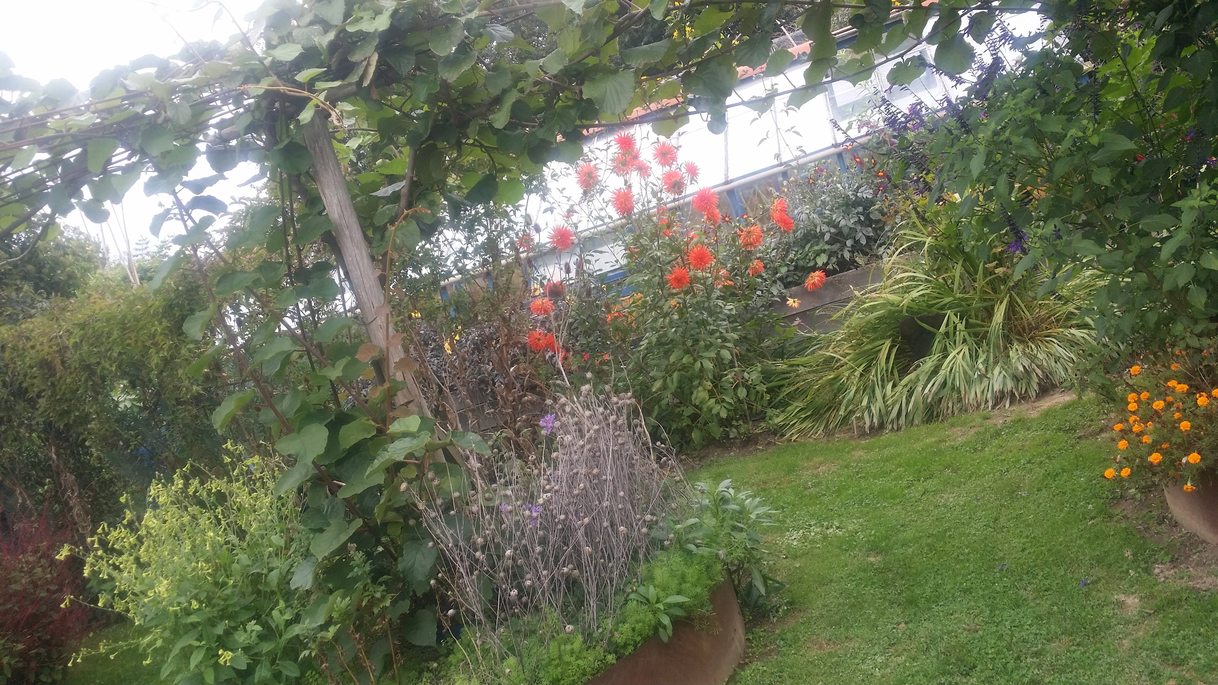 Photo n° 3 de l'avis de Alain.o fait le 05/10/2019 à 14:06