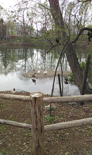 Zoo «Trevor Zoo at Millbrook School», reviews and photos, 282 Millbrook School Rd, Millbrook, NY 12545, USA