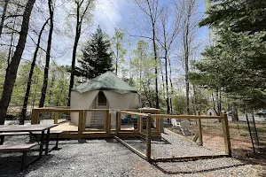 Four Paws Kingdom Campground & Dog Retreat image