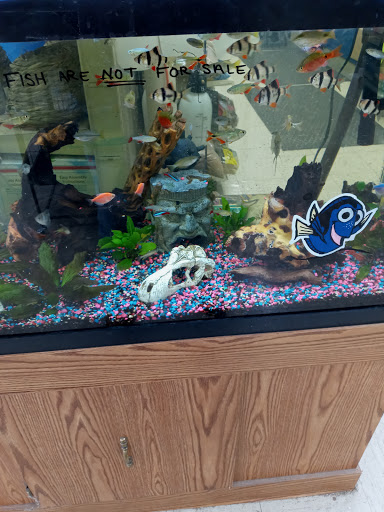 Pet Supply Store «Pet Supplies Plus», reviews and photos, 5708 State St, Saginaw, MI 48603, USA