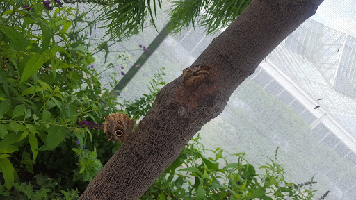 Amusement Park «Como Town», reviews and photos, 1301 Midway Pkwy, St Paul, MN 55103, USA