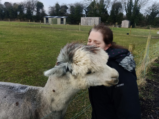 Hilltop Farm Alpacas