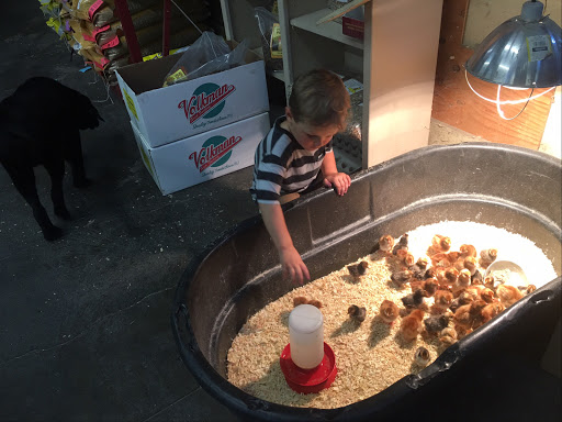 Pet Supply Store «Northern Star Mills», reviews and photos, 510 Esplanade, Chico, CA 95926, USA