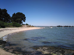 Plage de Penera'in fotoğrafı çok temiz temizlik seviyesi ile