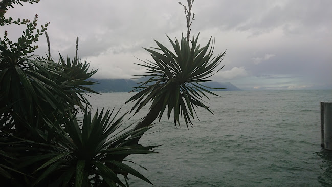 Coaching Diving - Diving School - Schule