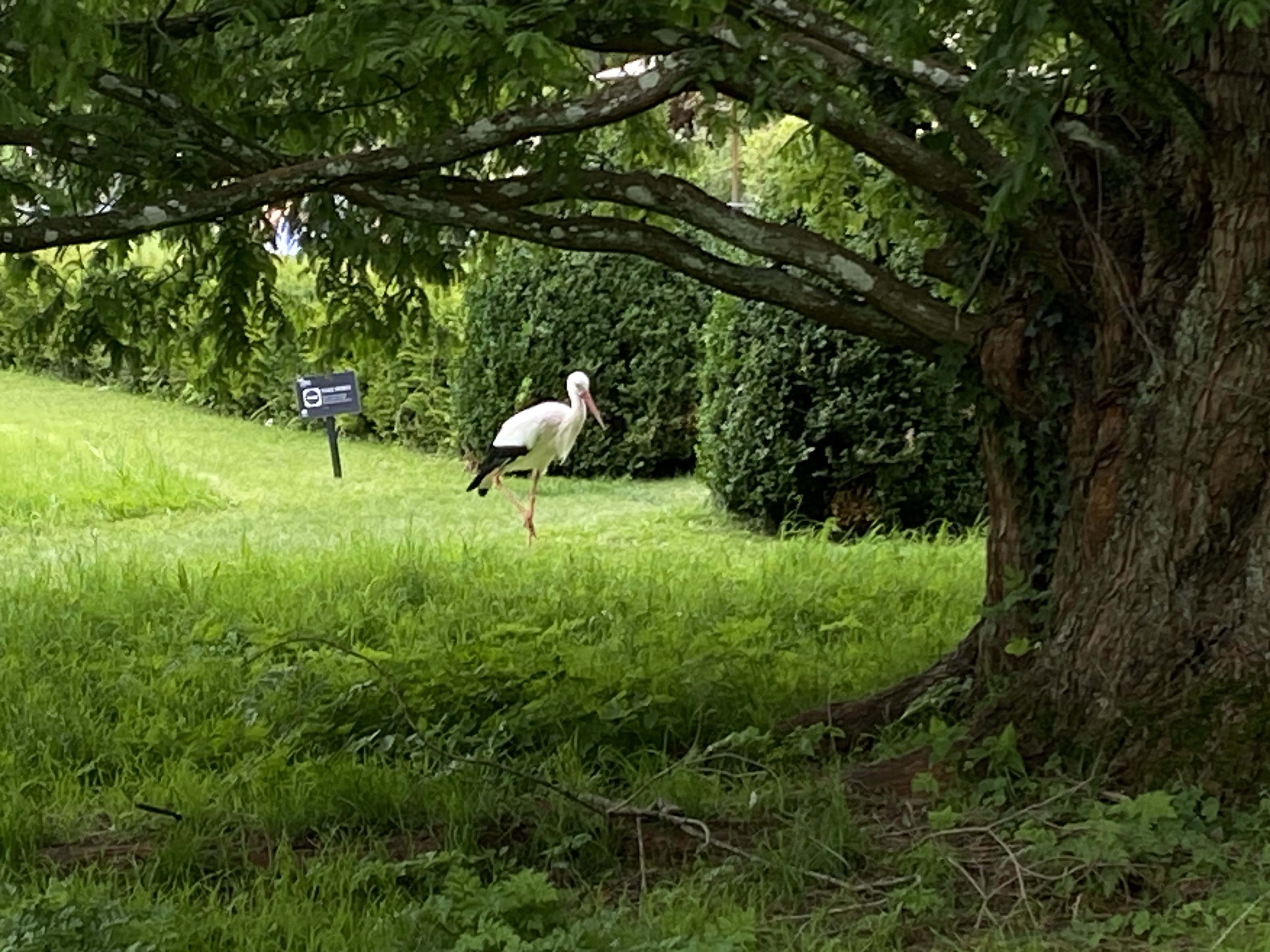 Photo n° 8 de l'avis de Mickael.e fait le 11/08/2023 à 05:54