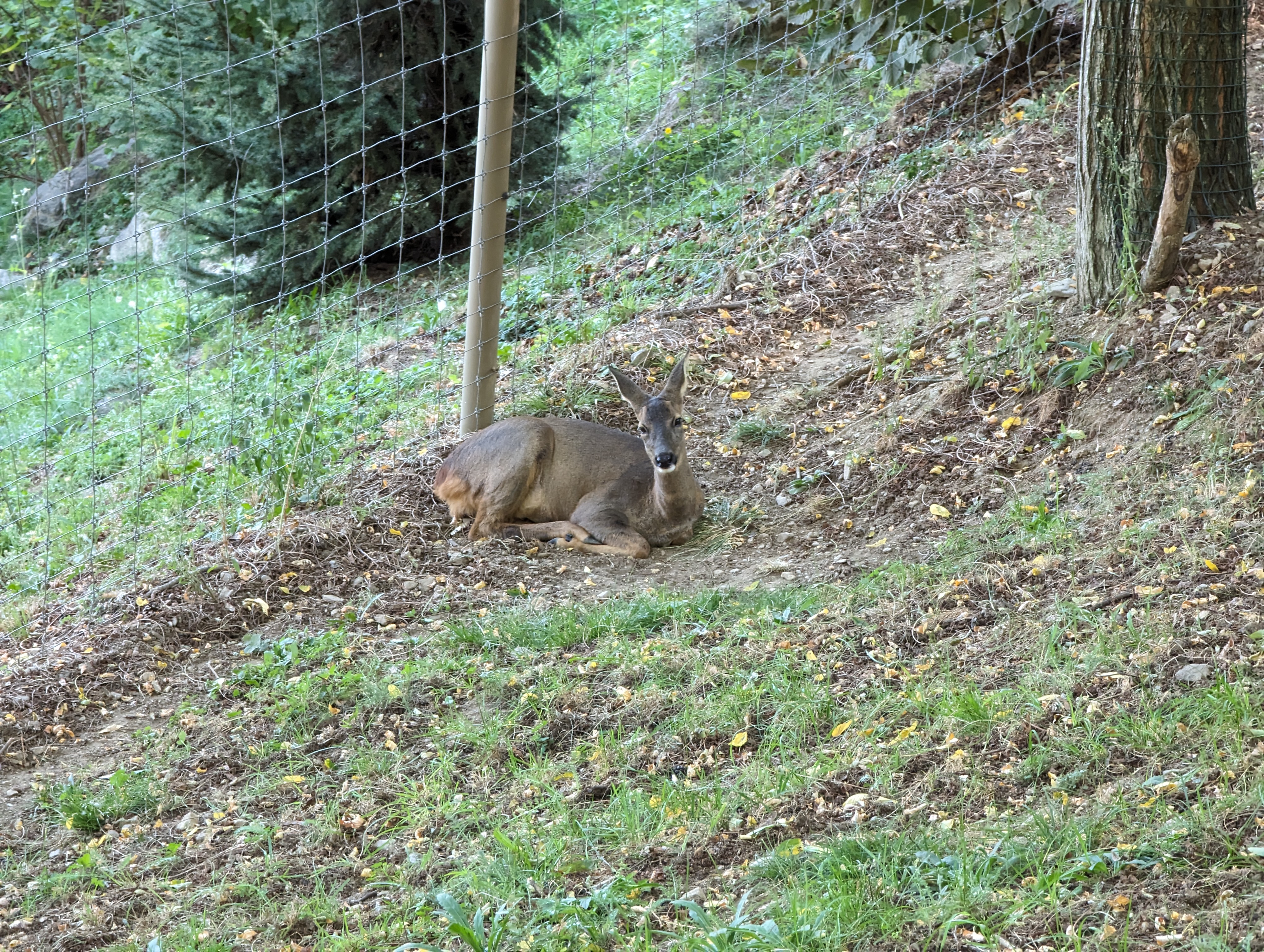 Photo n° 24 de l'avis de Thibaud.l fait le 10/10/2023 à 07:10