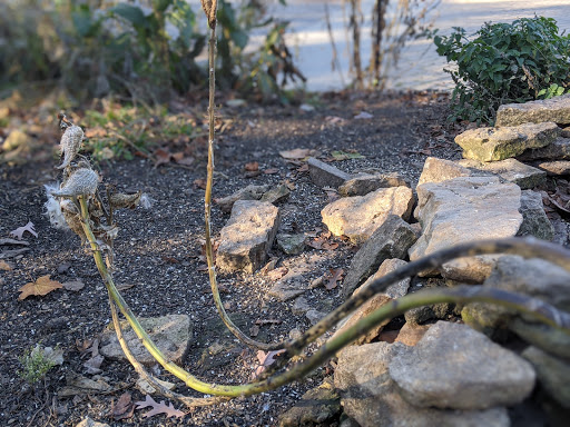 Learning Center «Sagawau Environmental Learning Center», reviews and photos, 12545 111th St, Lemont, IL 60439, USA