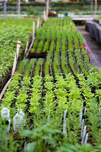 Plant Nursery «Blooming Acres», reviews and photos, 7561 State Rd, Wadsworth, OH 44281, USA