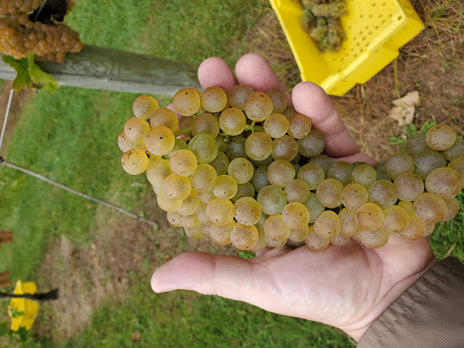 Winery «Rockside Winery and Vineyards», reviews and photos, 2363 Lancaster-Newark Rd NE, Lancaster, OH 43130, USA