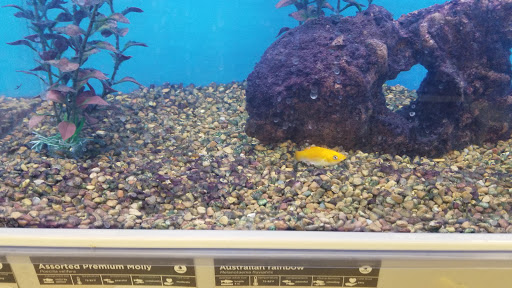 Pet Supply Store «Petco Animal Supplies», reviews and photos, 1320 E Lincoln Way p101, Sparks, NV 89434, USA