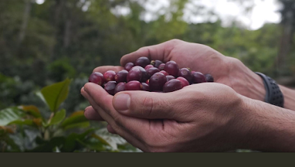 Cafe Jaguar - Finca la esperanza