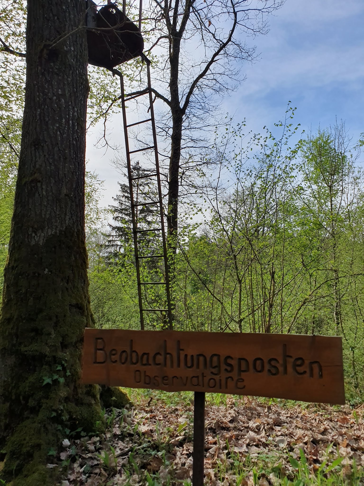 Photo n° 17 de l'avis de Nachtalb. fait le 23/04/2019 à 12:32