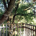 Photo n° 6 de l'avis de Alice. fait le 23/10/2019 à 18:00 pour La Cabane du Lamas à Montignac-de-Lauzun